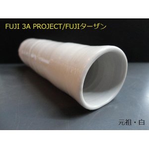 Fuji 3a Project Fujiターザン