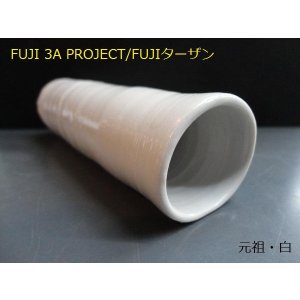 画像: 佐藤さんの手作り隠れ家(元祖・白) 