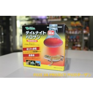 画像: Vivaria デイ＆ナイトハロゲン66w